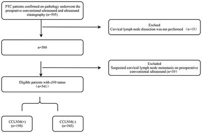 Preoperative strain ultrasound elastography can predict occult central cervical lymph node metastasis in papillary thyroid cancer: a single-center retrospective study